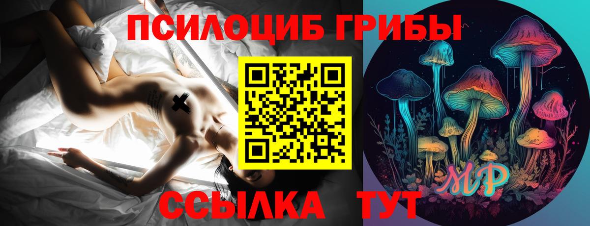 Галлюциногенные грибы мухоморы  Псилоцибиновые грибы Cubensis  купить наркоту  Унеча  Вход с VPN 